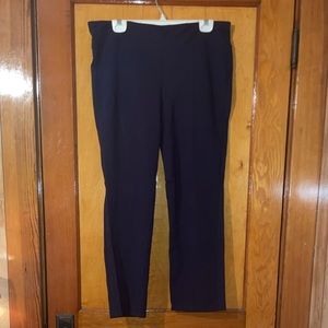 Dress Stretch Pant in EUC
